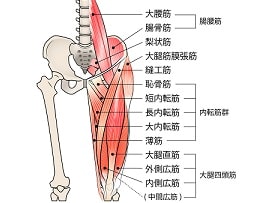 筋・筋膜性腰痛について