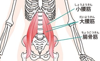 筋・筋膜性腰痛のメカニズム