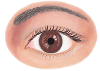 寿楽鍼灸整骨院 | 糖尿病網膜症