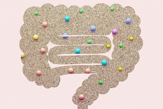 東洋医学の大腸