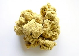 手の太陽小腸経