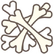 骨の構造と生理学