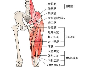 腰痛、腰下肢痛の基本的な分類