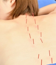 からだに優しい考察