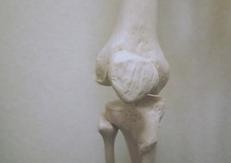 ブラウン病とは