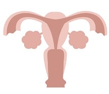 女性の主な不妊の原因