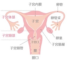 ピックアップ障害とは