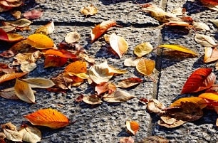 パニック障害の季節性