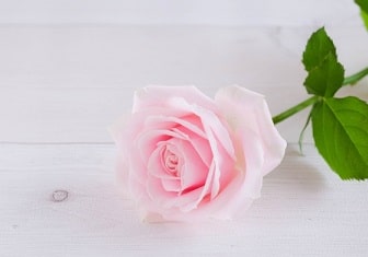 系統的脱感作療法のやり方