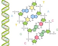 睡眠不足は遺伝子に影響する