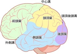 パーキンソン病について