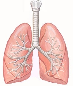非結核性抗酸菌症