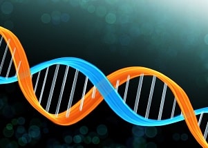 エリスダンロス症候群とは