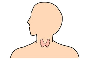 甲状腺の鑑別診断