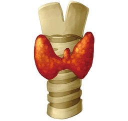 バセドウ病の針治療