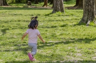 甲状腺ホルモンのはたらき