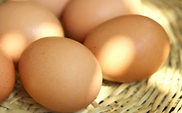 甲状腺機能低下症とヨウ素(ヨード)