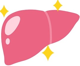 血清膠質反応(TTT,ZTT)