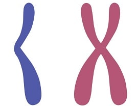 フィラデルフィア染色体