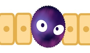 腫瘍(癌)細胞の極性