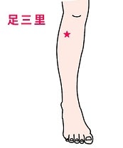 パニック障害　経絡・経穴(ツボ)　足三里