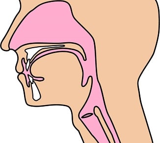 嚥下困難の原因