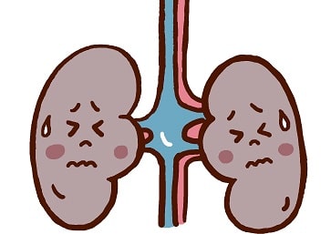 泌尿器系の障害