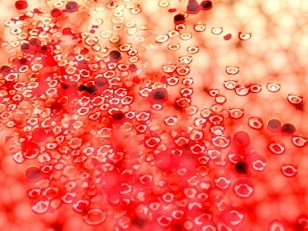 白血球の減少症