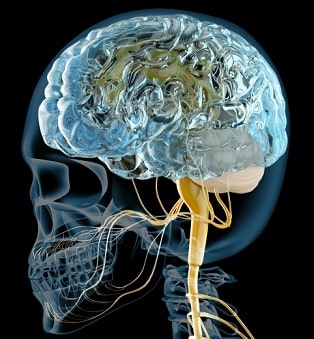 寿楽鍼灸整骨院　ブレインフォグ