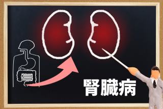 腎臓病と泌尿器疾患