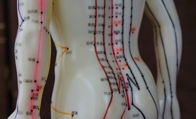 本位性頻脈症候群の臨床で使用する経絡・経穴(ツボ)の例