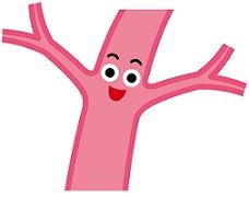 リンパ管の解放