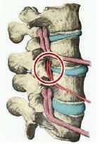 伝統医療と西洋医学